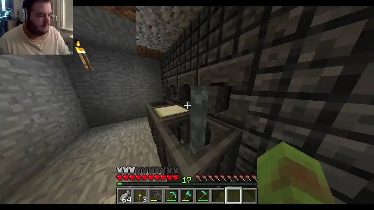 Just Another Minecraft Stream...