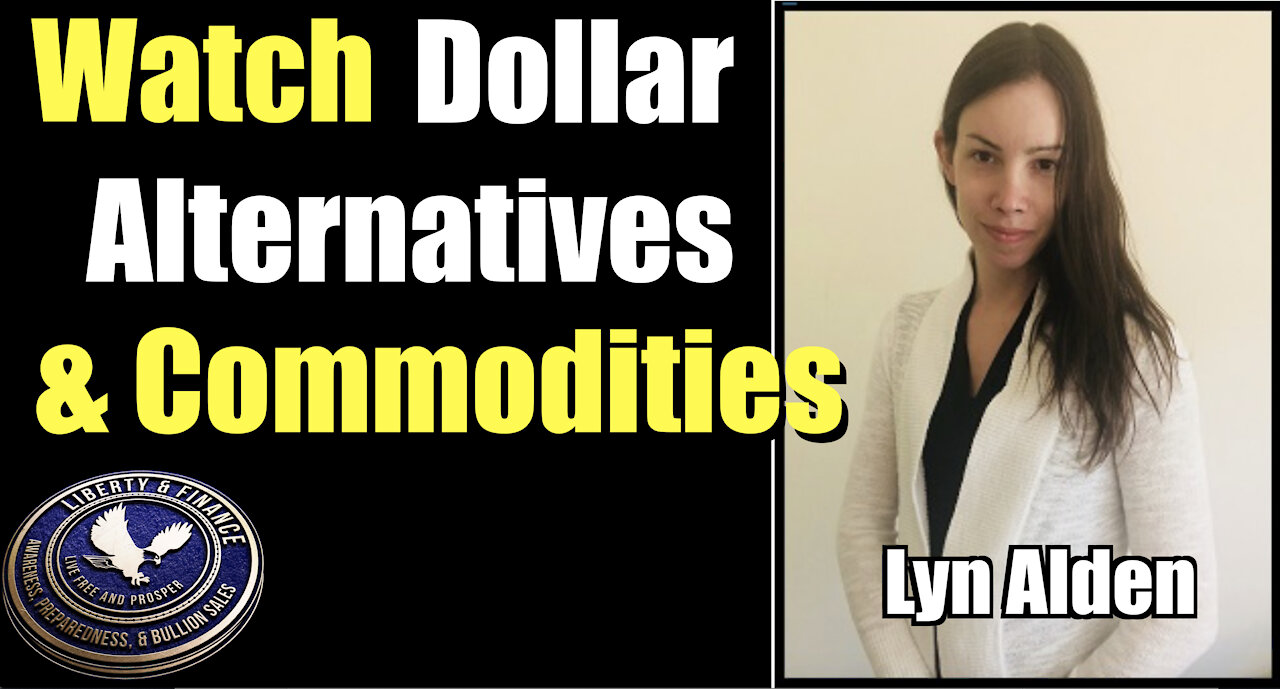 Watch USD Alternatives & Commodities | Lyn Alden