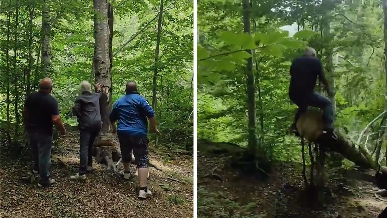 Falling tree sends dude flying in the air