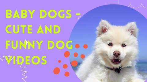 Baby Dogs - Cute and Funny Dog Videos