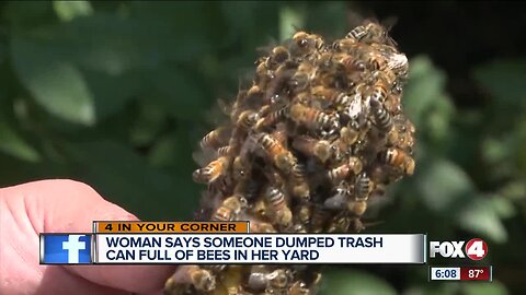 Woman says someone dumped trashcan full of bees in her yard