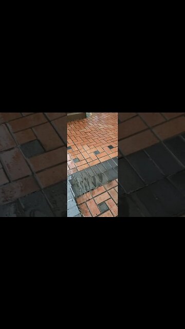 New Damage Under Sidewalk On Broadway