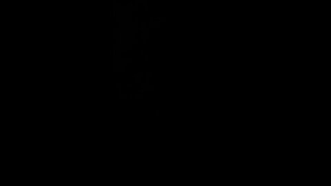 How to pronounce transgender transition