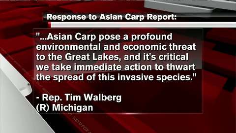 Report to list options for strengthening Asian carp defenses