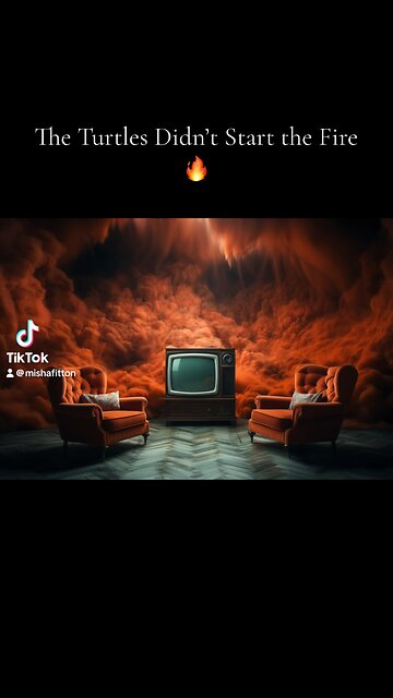 The Turtles Didn’t Start the Fire. Maybe The Humans Did?