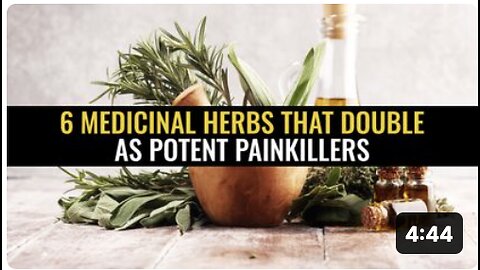 6 Medicinal herbs that double as potent painkillers