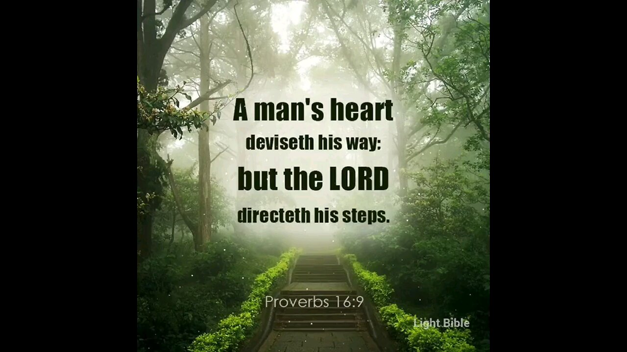 Proverbs 16:9