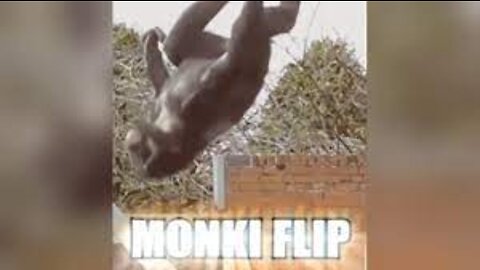 MONKEY BLACKFLIP