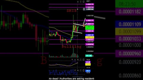 🚨SHIBA INU in bullish continuation pattern! Looking at higher prices!🚀💎🙌🌖