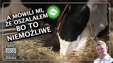 A MÓWILI MI, ŻE OSZALAŁEM, BO TO NIEMOŻLIWE