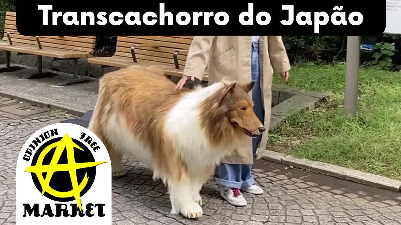 JAPONÊS se veste de CACHORRO e REALIZA SONHO de PASSEAR ao AR LIVRE