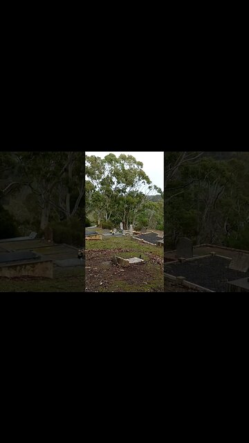 Cemeteries Beautiful Adelaide Hills View | Intrepids