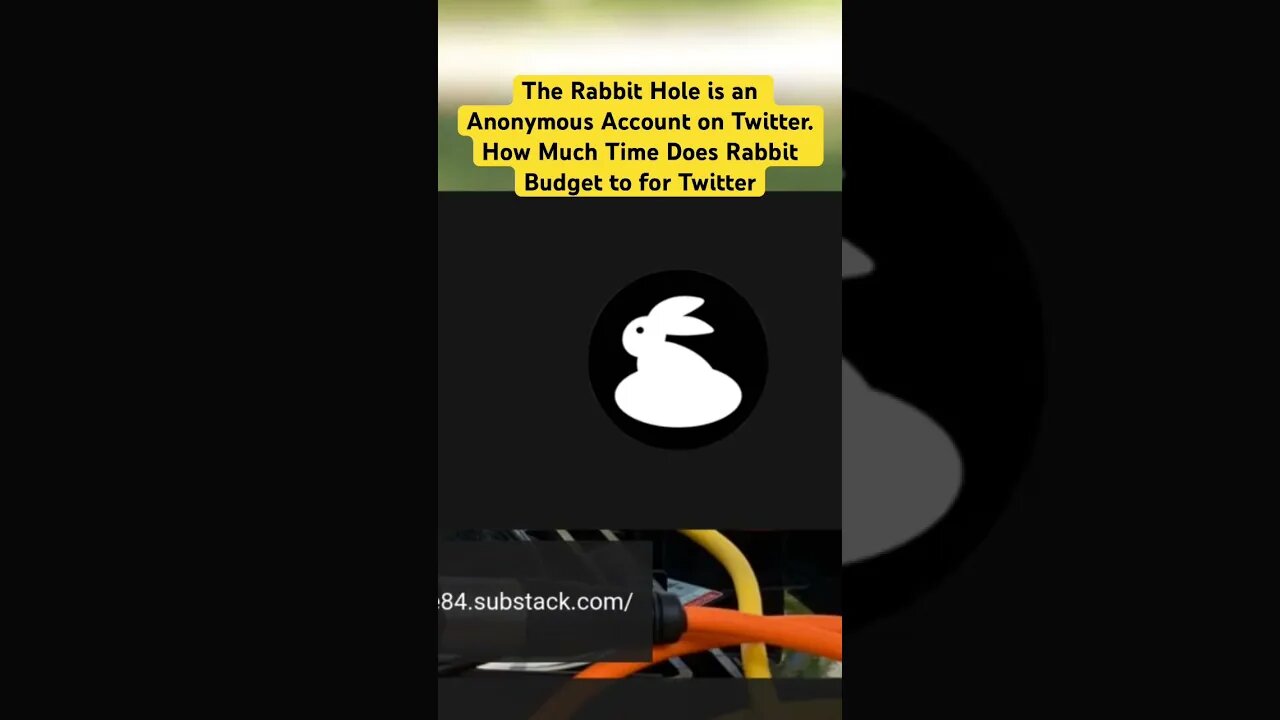 The Rabbit Hole is an Enormously Successful Twitter Account. Wilfred Reilly, Pete A Turner,