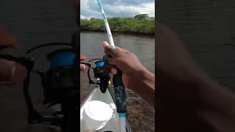 Baby Shark VS Tiny Fishing Pole #shorts