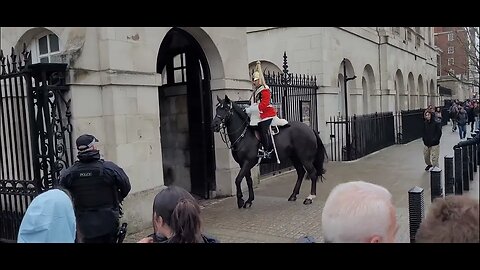Horse freaks police check the guard #horseguardsparade