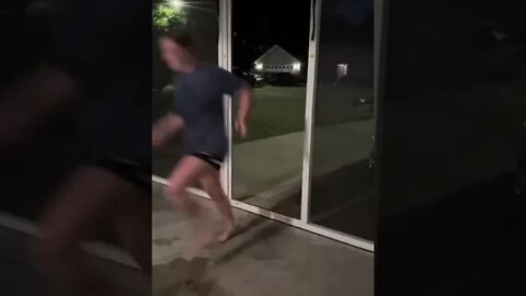 DOG knocks over wall 😱😂