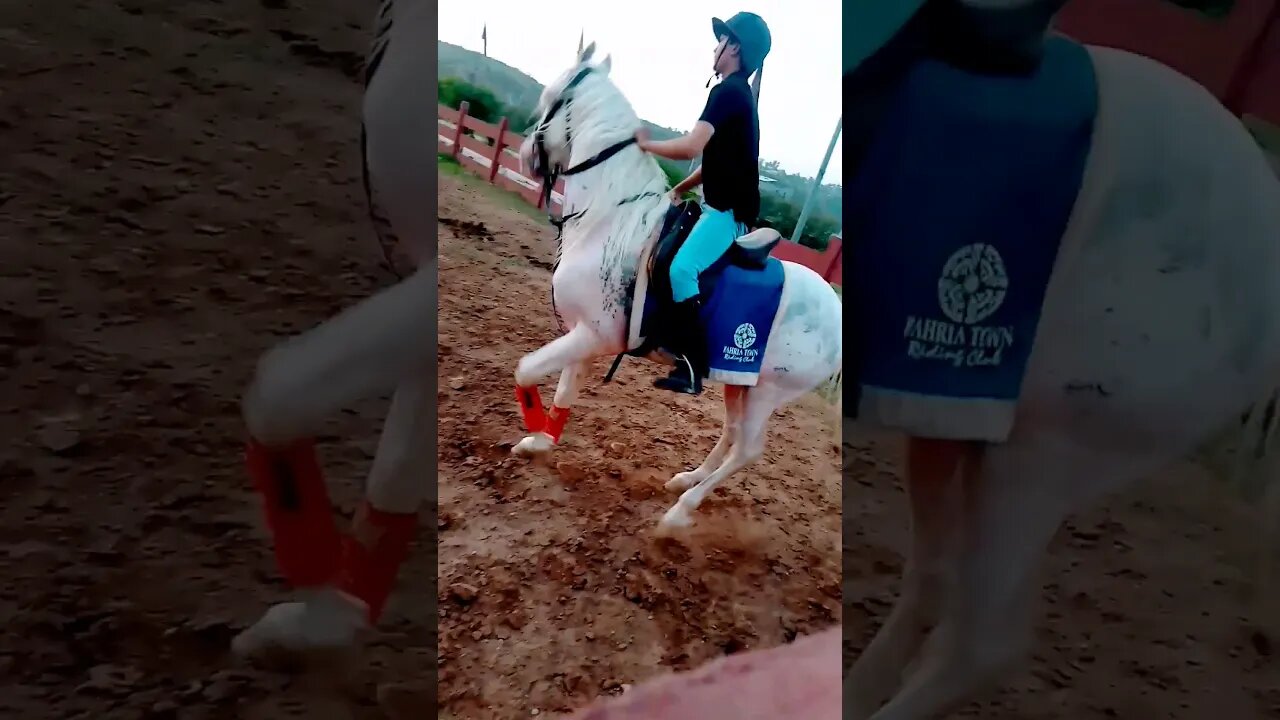 #viralshorts Horse riding: Never give Up #viral