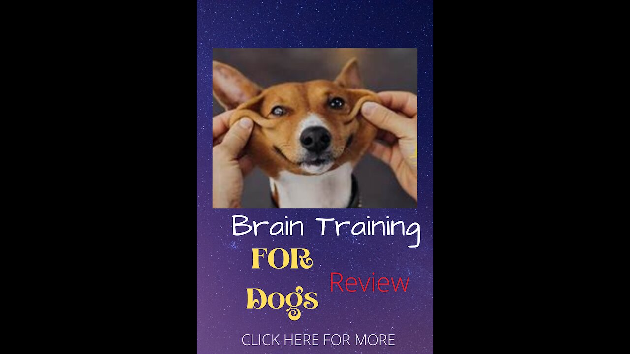 Brain Training for Dogs 21