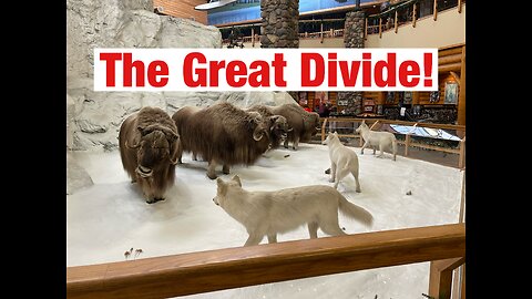 The Great Divide!