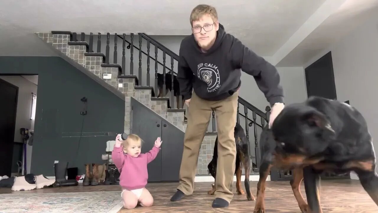 Baby Pets Rottweiler While He’s Eating And This Happens