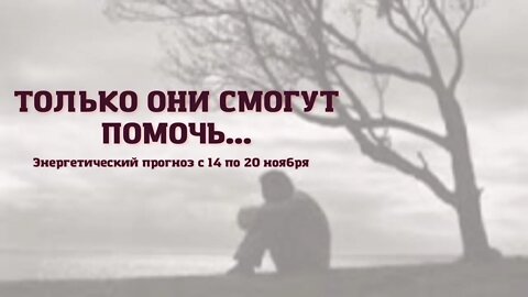 Какая скорость? Энергетический прогноз с 14 по 20 ноября. Диана Фалби