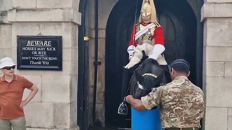 water For the horse and the guard #horseguardsparade