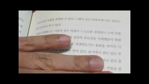 늙는다는건 우주의 일, 조너선 실버타운, 딜런 토마스, 심상, 무릉도원, 나이테, 생장추, 북아메리카,편백