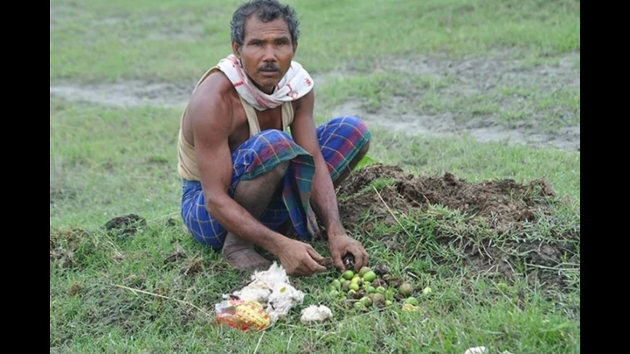 40 years ago he started planting trees