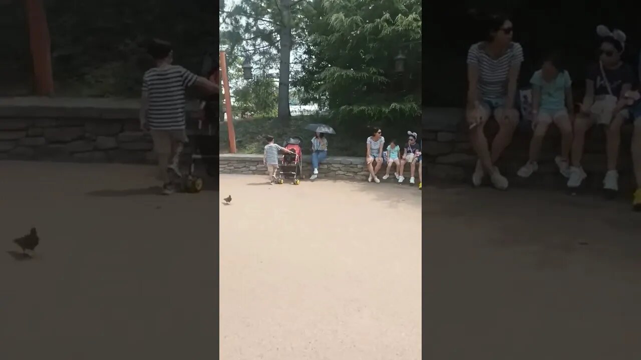 #etsukojunio #etsukofans #fransiscaofficial #teamfransisca #沉连清 #fransisca #fransiscametaworld