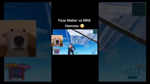 FAZE WALTER VS NRG HAMSTER #minecraft #shorts #walterwhite #walter