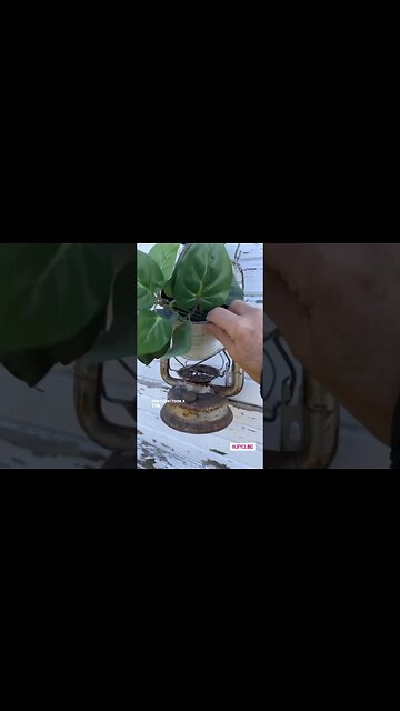 From Scrap to Chic / A Scrap Metal Bin find Upcycle You Have to See