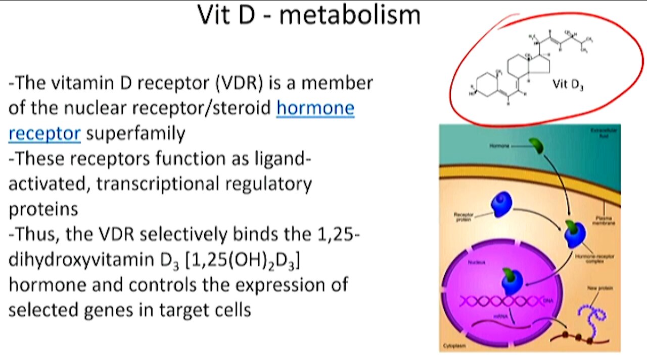 Vitamin D and COVID 19: The Evidence for Prevention & Treatment of Coronavirus (SARS CoV 2)