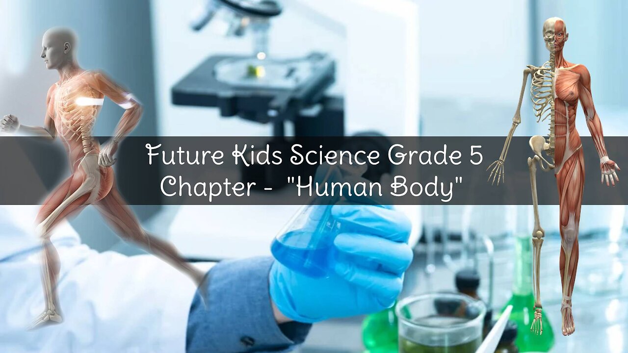 Science - Chapter 4 "Human Body" All Question & Answers of Science (Part A and Part B)