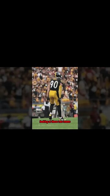 Mike Tomlin as a home dog: 🔥