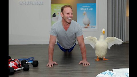 Duck funny exercise video in gym