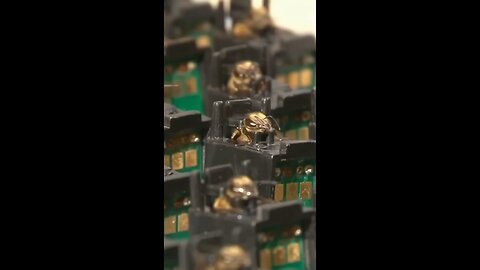 Bees That Can Detect Explosives?