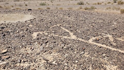 Remains Of Ancient Extra Terrestrials In Desert?
