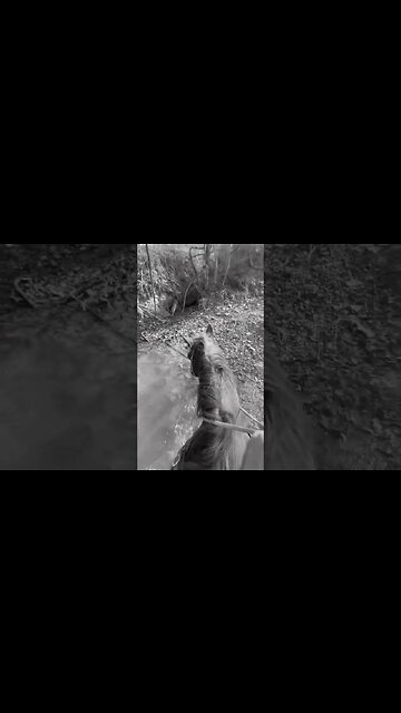 Everyone wants to be John Dutton. #farm #farmlife #ranchlife #ranch #justranchin #yellowstone