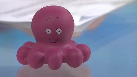 PETA to give out fake octopi to encourage more humane octopus tossing