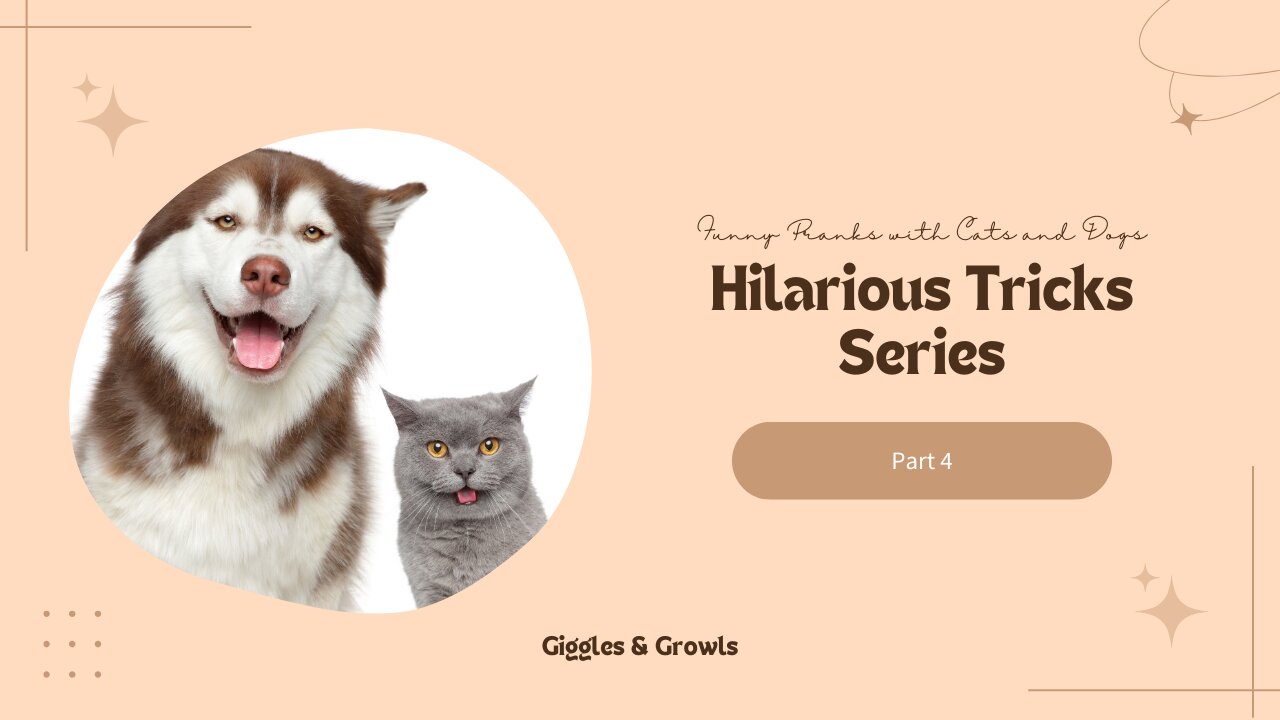 Funny Pranks with Cats and Dogs: Hilarious Tricks Series - Part 4