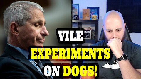 VILE Experiments On Dogs Authorized By Fauci!