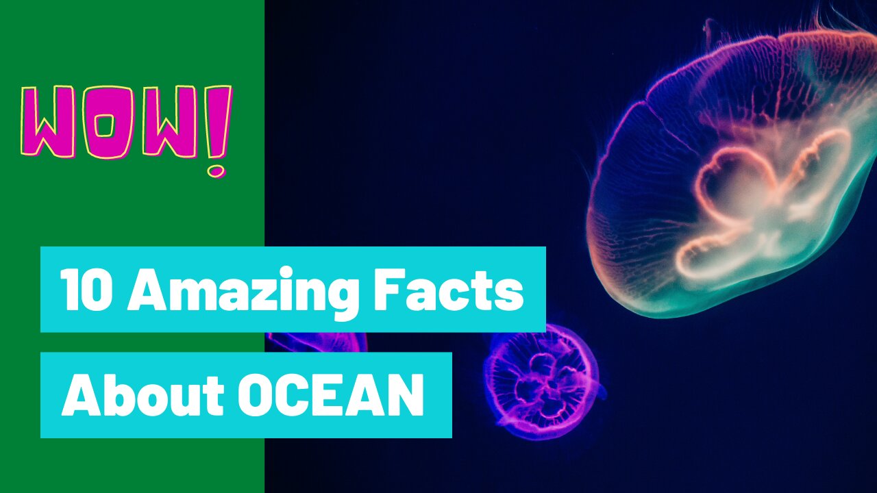 Top 10 Amazing Facts About Ocean