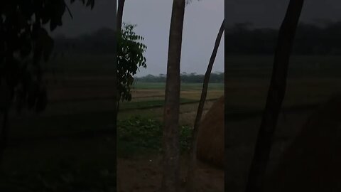 সন্ধ্যা বেলায়