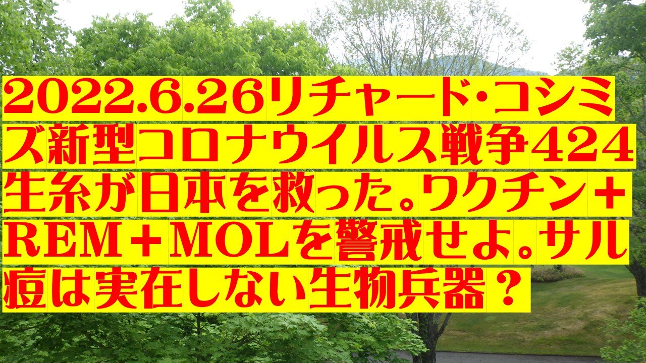 2022.6.２６リチャード・コシミズ新型コロナウイルス戦争４２４