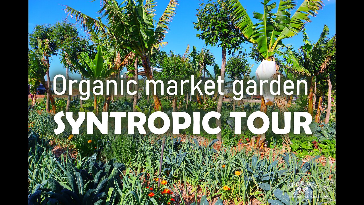 Organic Market Gardens - A tour of a highly productive syntropic organic market garden in Australia