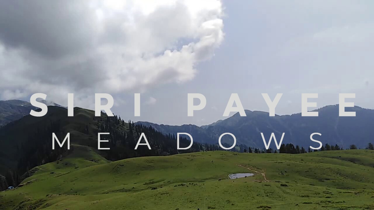 Siri Paye Meadows | Time lapse | Nature | Copyright Free