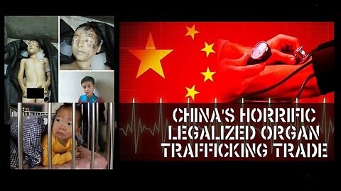 China's Sick Satanic Legalized Child Organ Trafficking Horror Exposed! [03.08.2023]