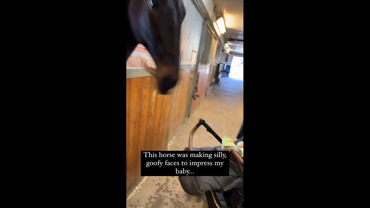 smart horse