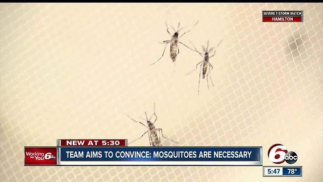 Purdue team says mosquitoes are necessary evil