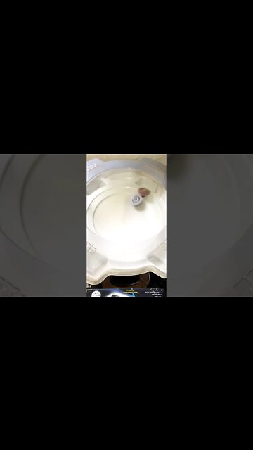 Oxe 🤣 (batalha de beyblade) #beyblade #beybladeburst #batalhadebeyblade